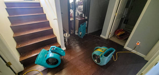 Best Water damage cleanup near me  in Combine, TX