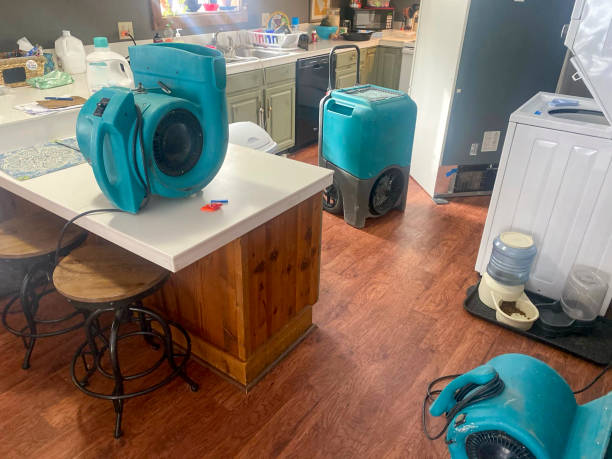 Best Sewage cleanup and water damage restoration  in Combine, TX