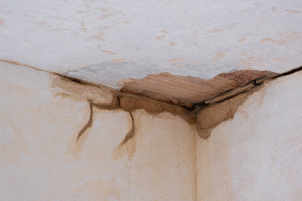 Water damage restoration experts in TX