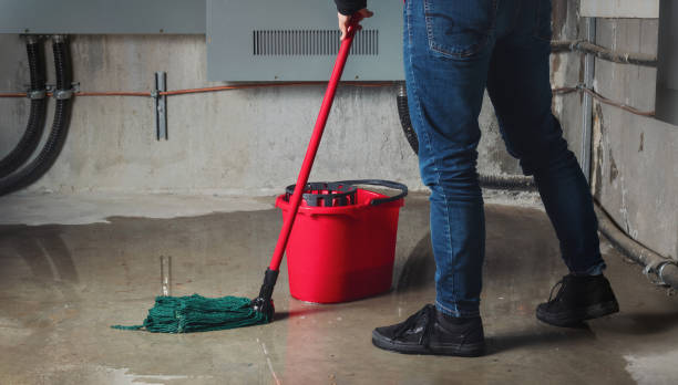 Best Flood damage cleanup  in Combine, TX
