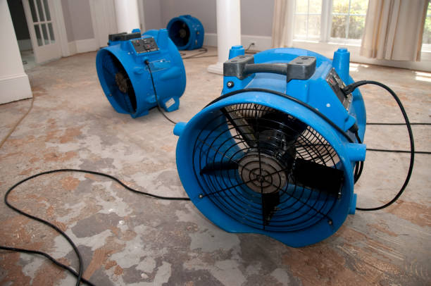 Best Carpet water damage restoration  in Combine, TX